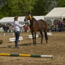 Karla Kolumna v. Herzensdieb