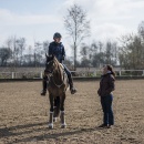 Dressurlehergang Silke Buck