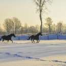 Winterimpressionen