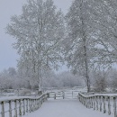 Winter_8