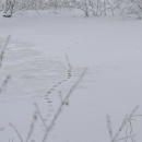 Winter_9