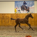 Handschlag_3
