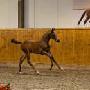 Handschlag_4
