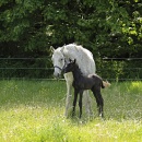 Hoch Hinaus_1