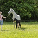 Hoch Hinaus_2