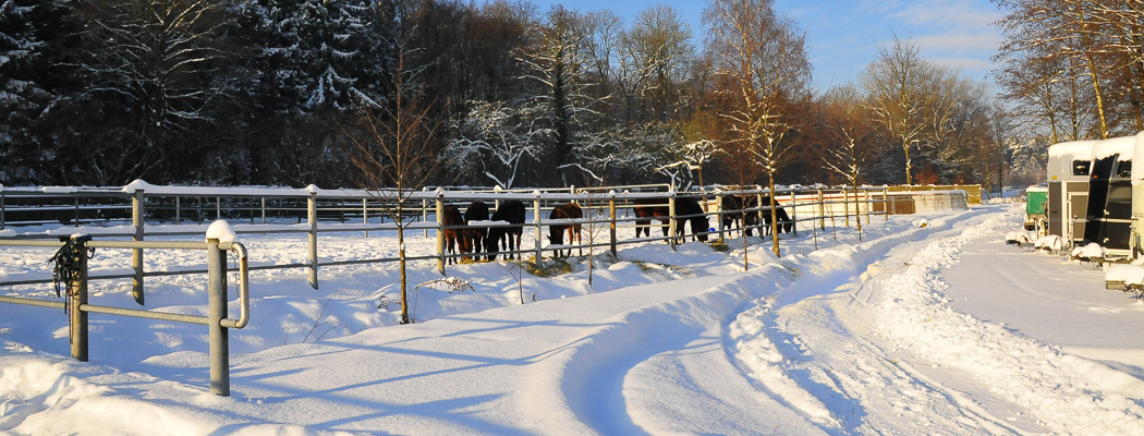 Pferdepension_Winter.JPG